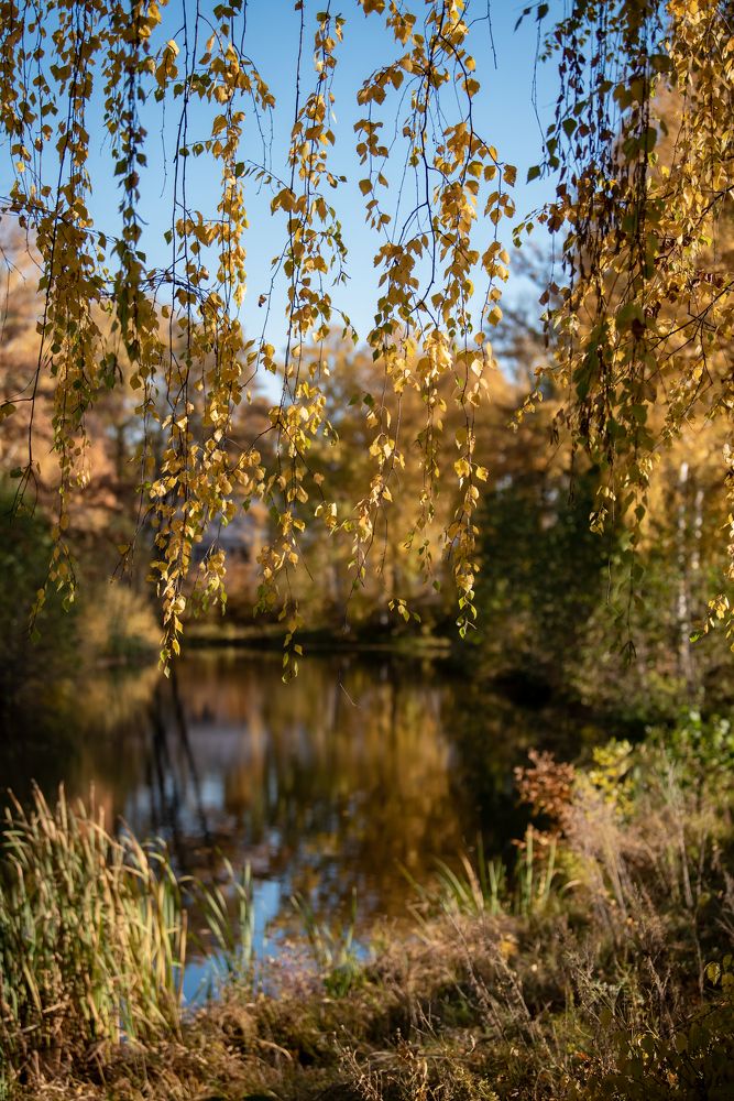 Photograph by Екатерина Попкова