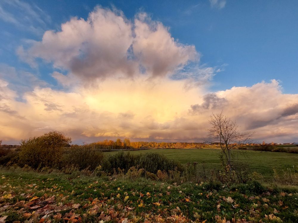 Photograph by Jelena Dzene