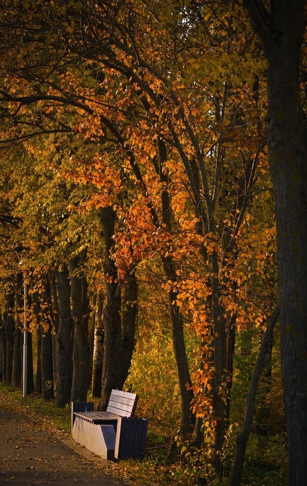 Photograph by Дарья Маркина