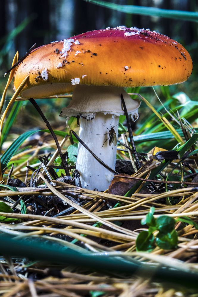 Photograph by Евгений Борискин