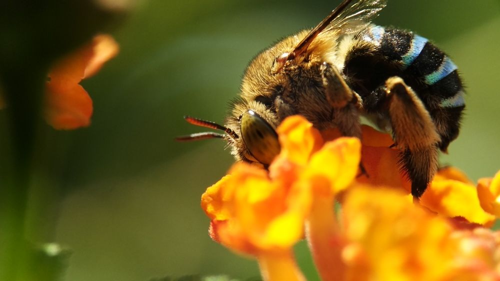 Photograph by Merta Jaya