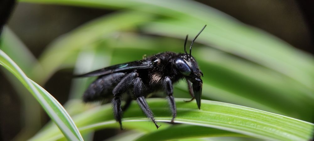 Photograph by Merta Jaya