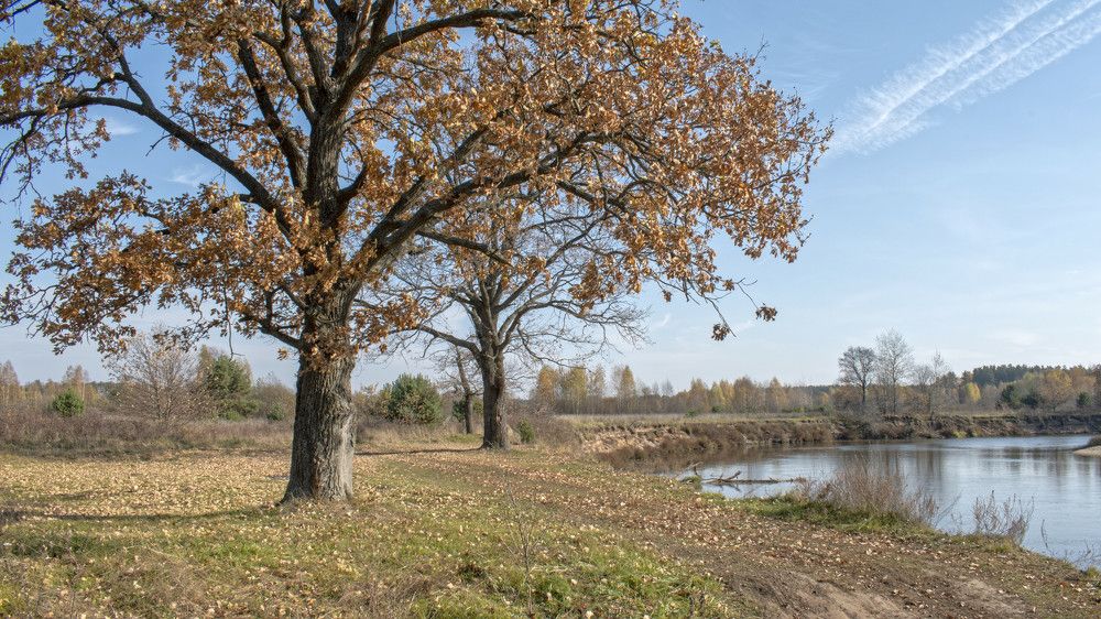 Photograph by Николай Чичерин