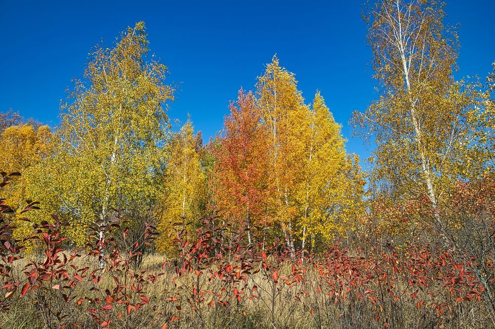 Photograph by Valery Bogushev