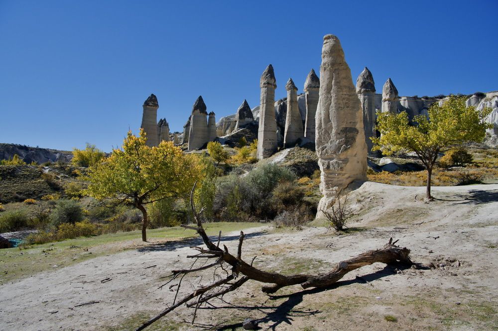 Photograph by Наталья Пирогова