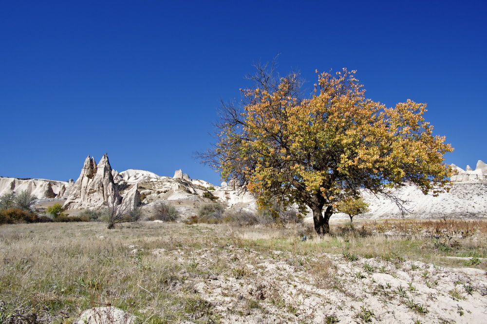 Photograph by Наталья Пирогова