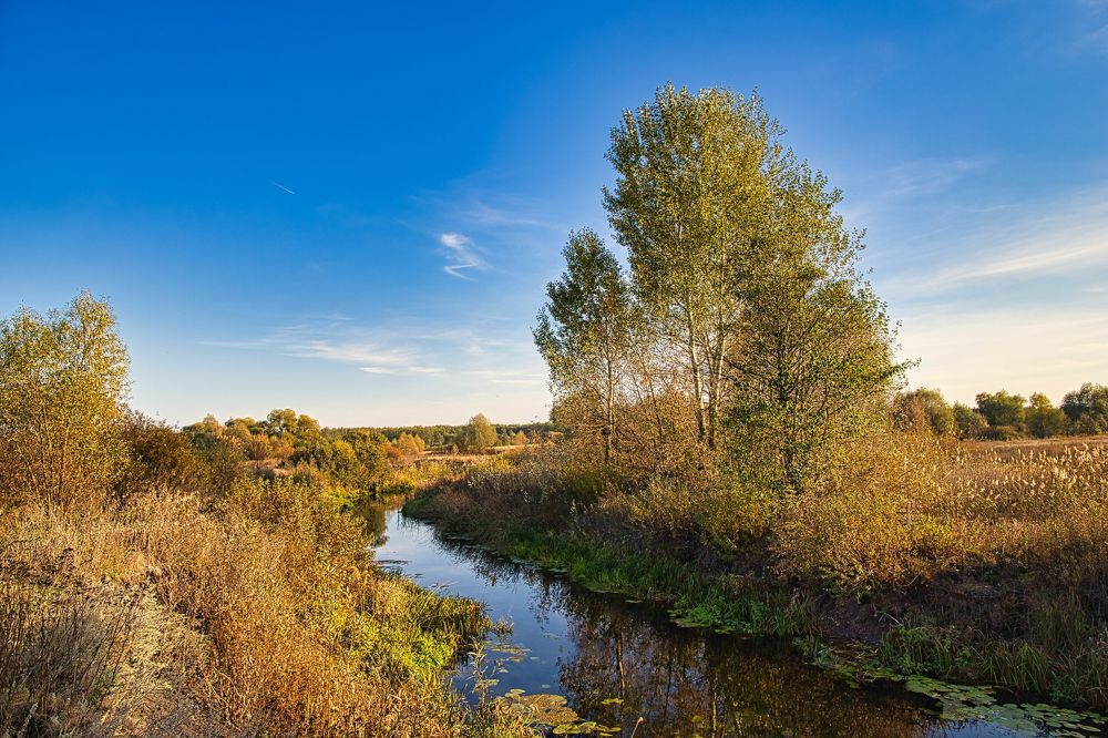 Photograph by Valery Bogushev