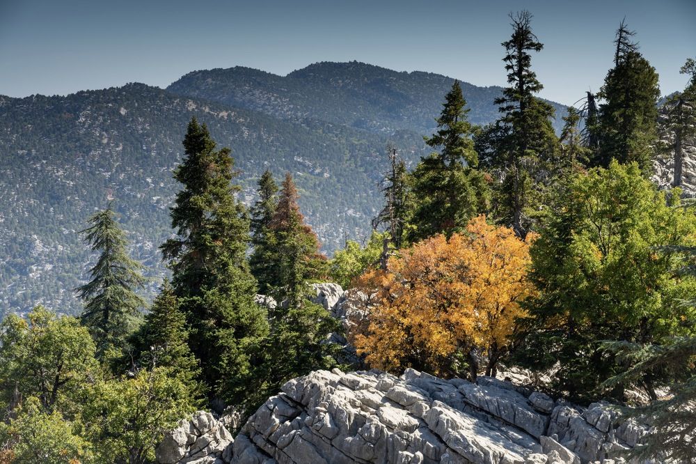 Photograph by Наталья Пирогова