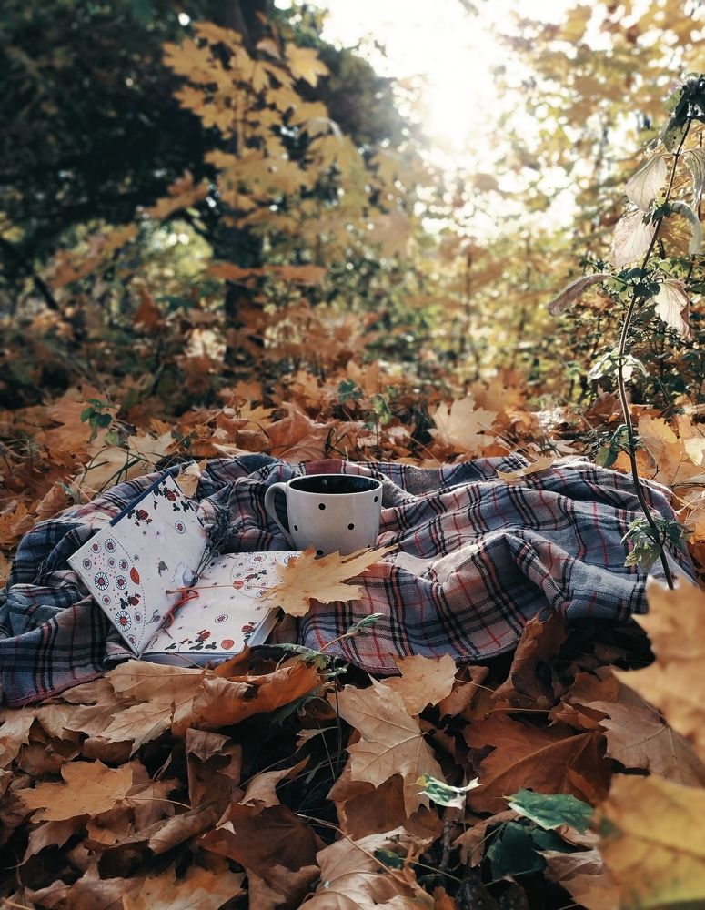 Photo #6617986