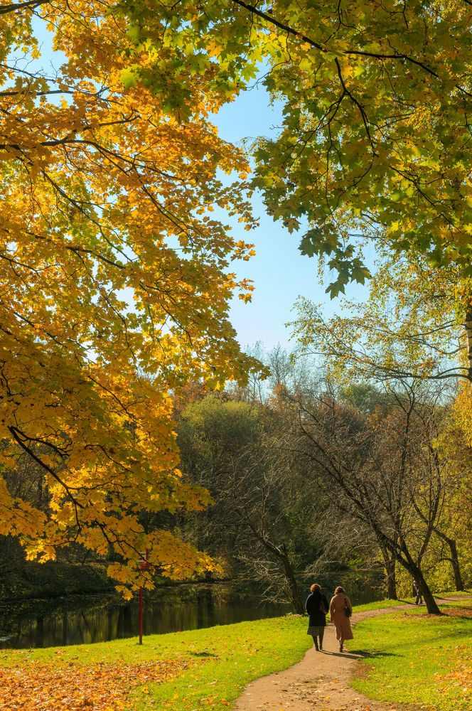 Photograph by Гиорги Бегадзе