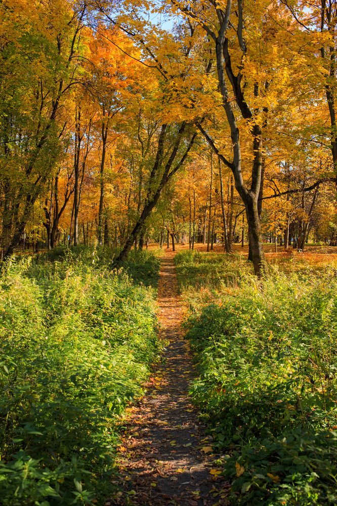 Photograph by Гиорги Бегадзе