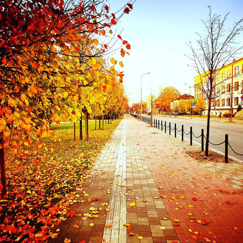 Photograph by Raitis Miksons