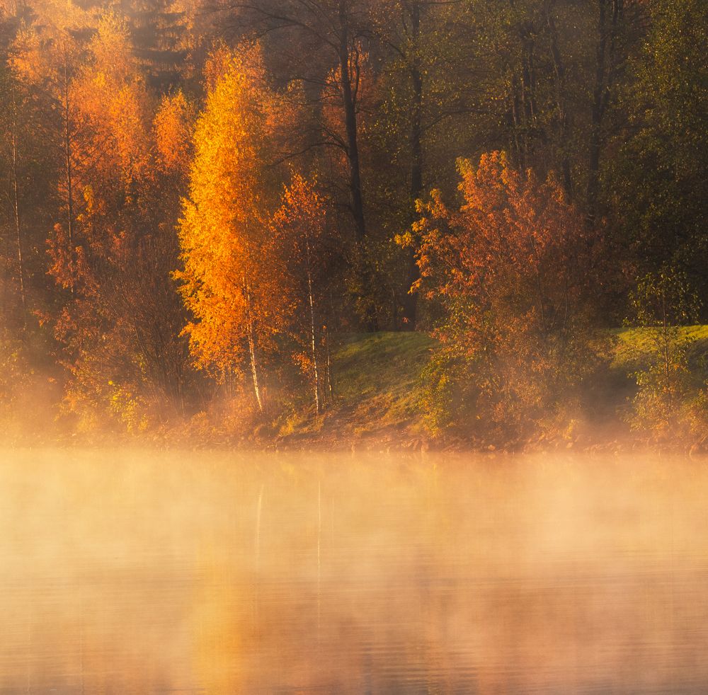 Photograph by Андрей Олонцев