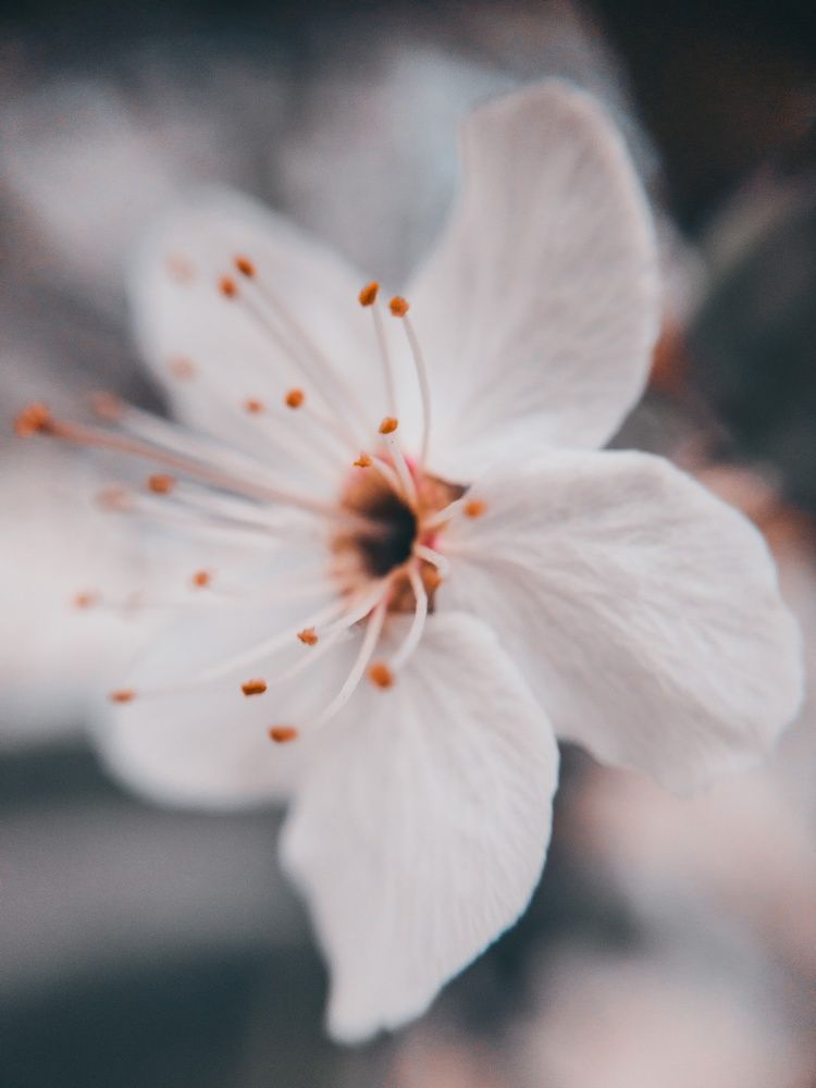 Photograph by Мария Д