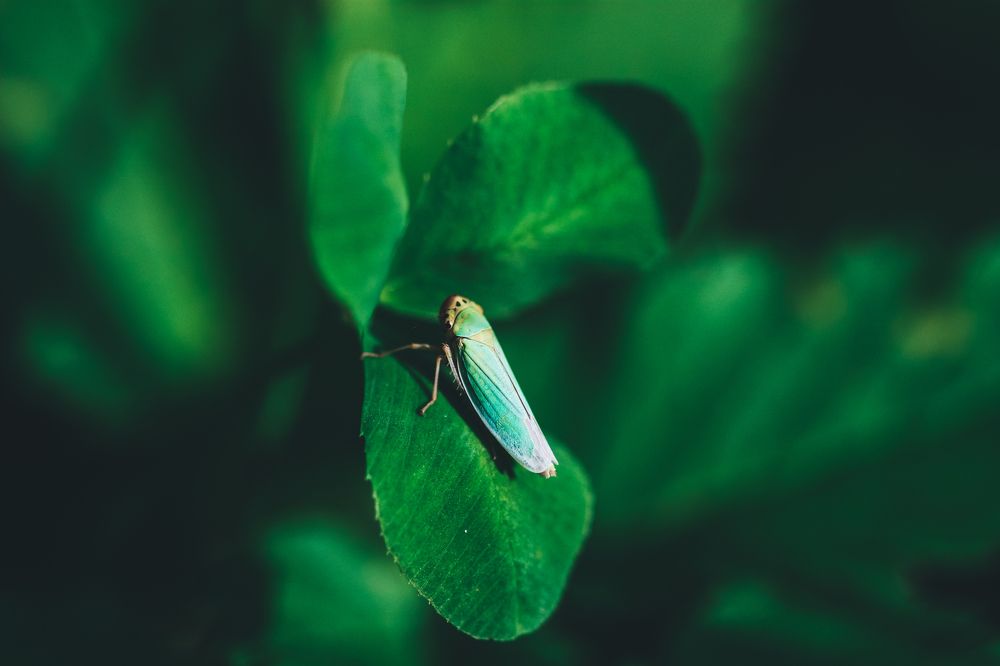 Photograph by Виктория Писаренко