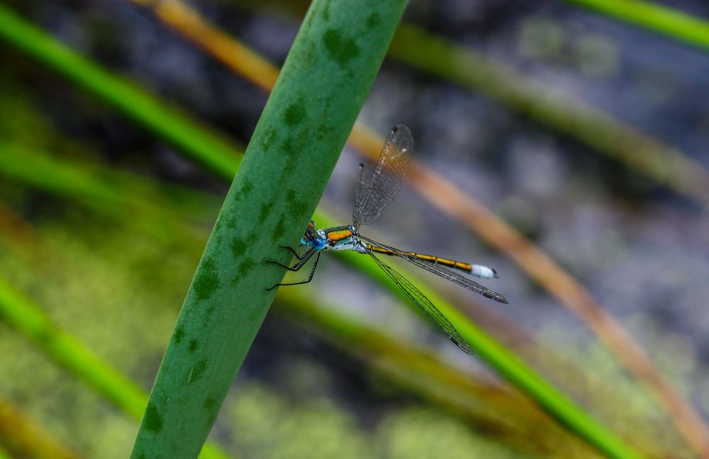 Photograph by Виктория Писаренко