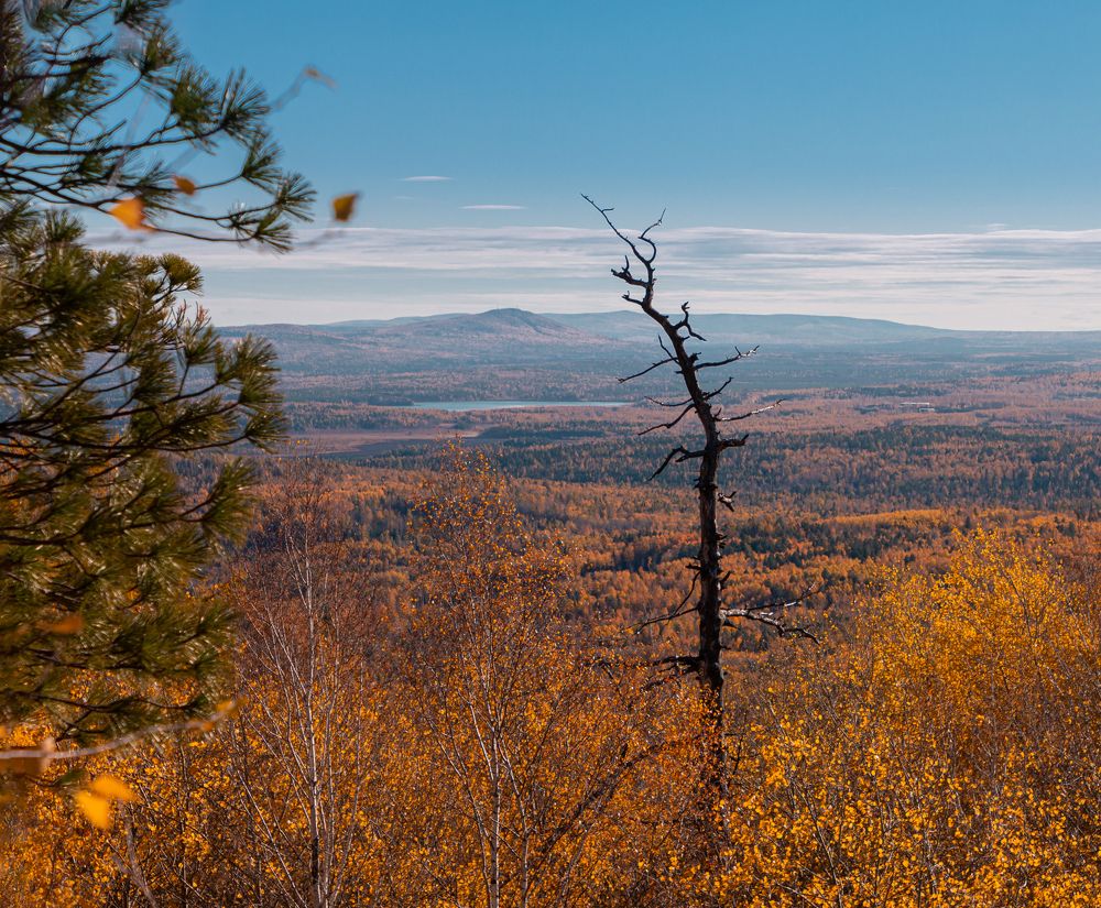 Юрьев камень
