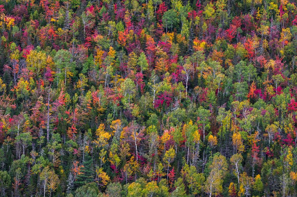 Photograph by Prybinski Miroslaw