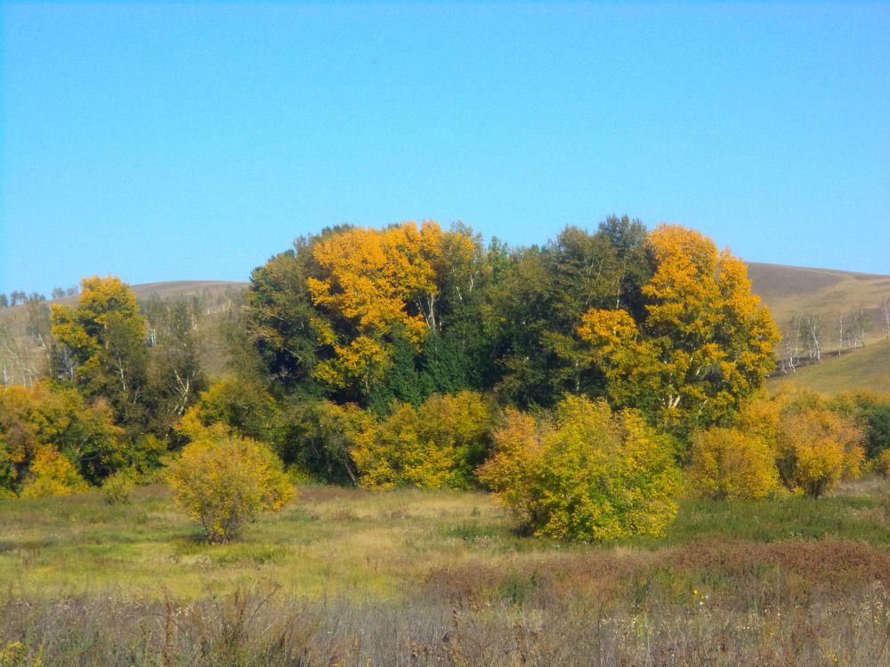 Photograph by Анастасия Старикова