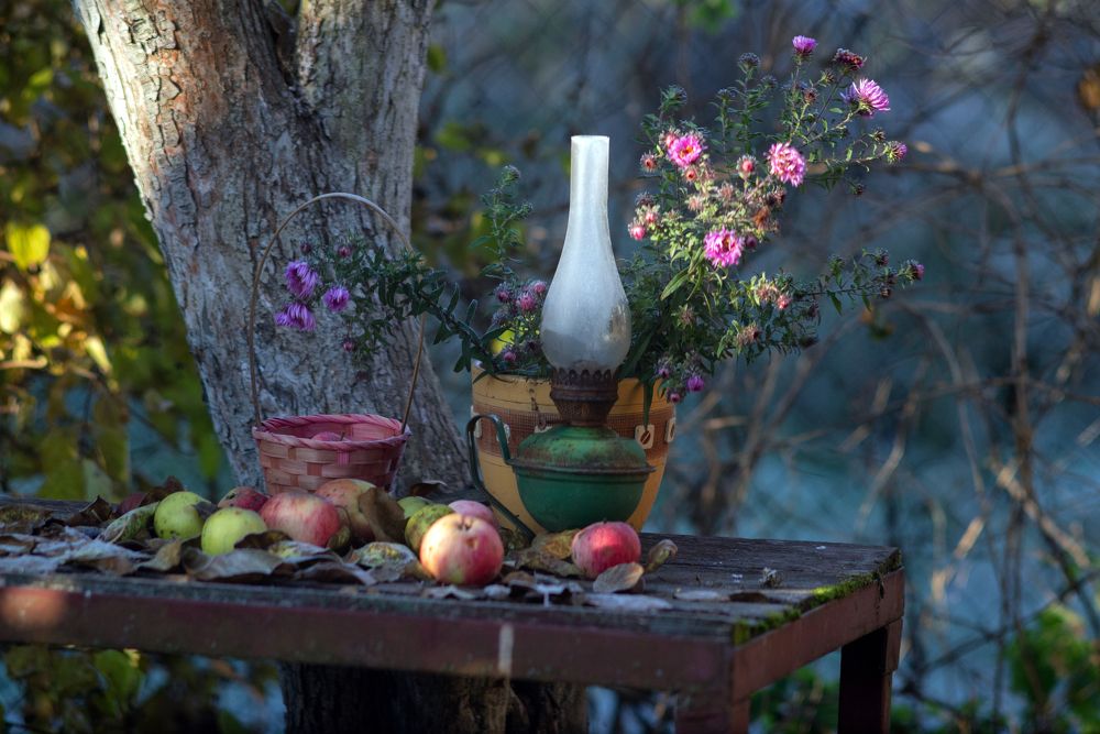 Photograph by Владимир Лосман