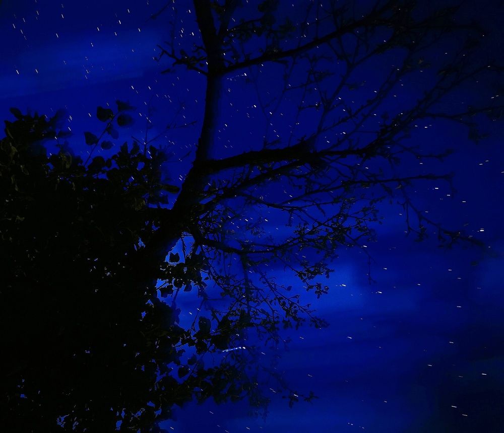 Photograph by Елена Артёменко