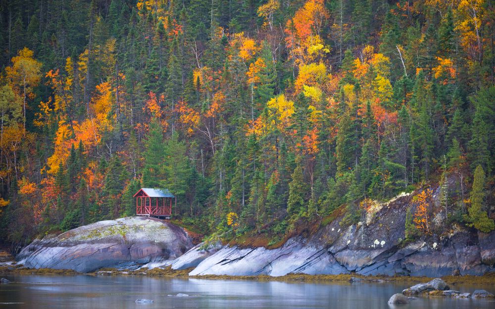 Photograph by Prybinski Miroslaw