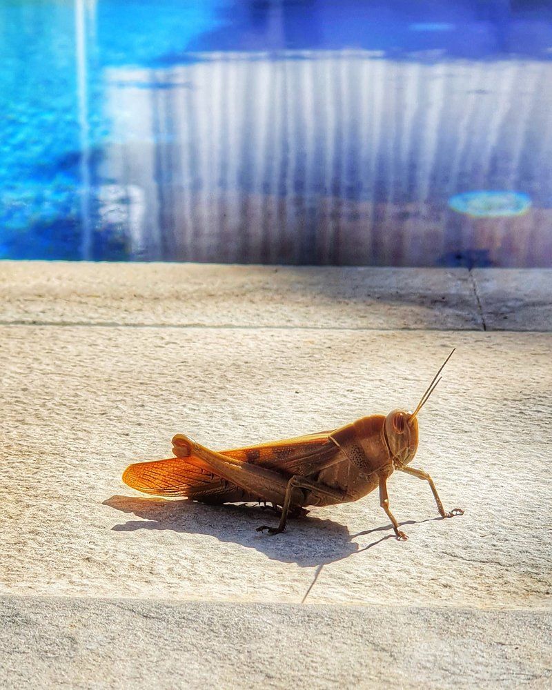 Don't bother me.  I tan !