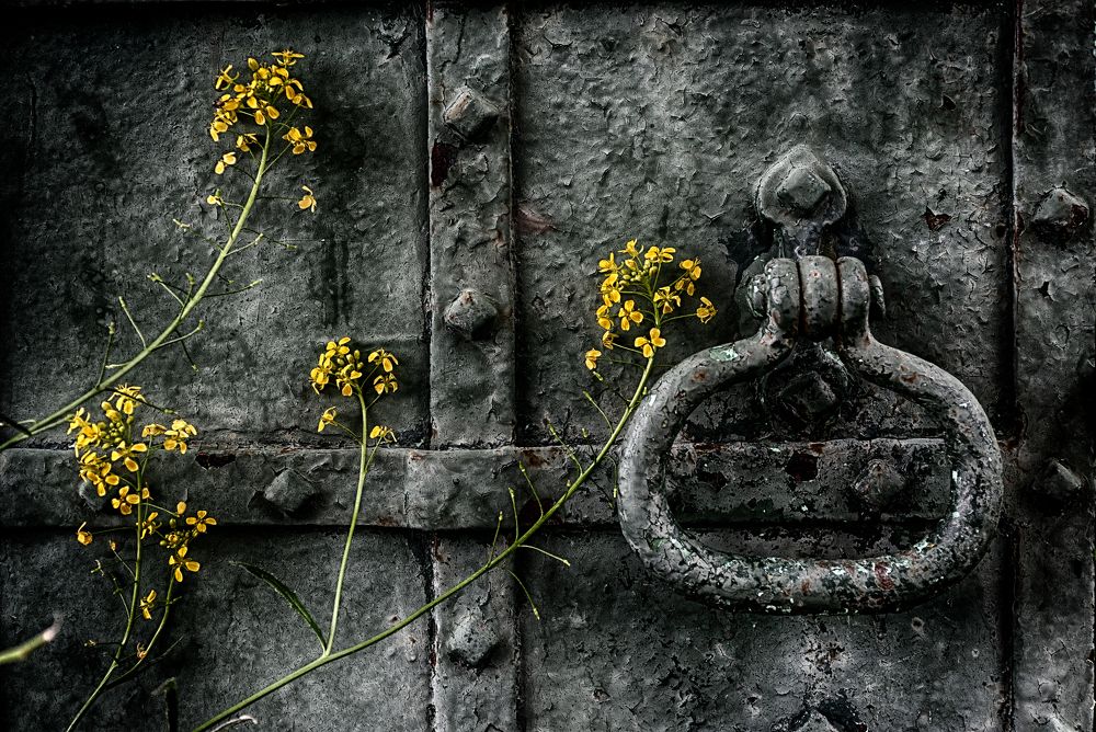 Photograph by Владимир Лосман