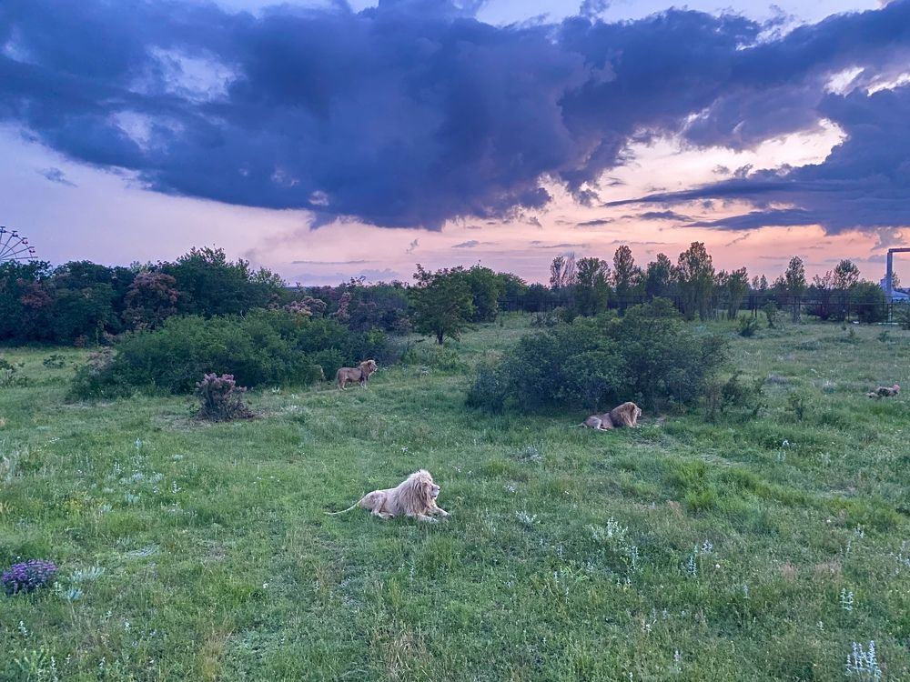 Photograph by Смирнова