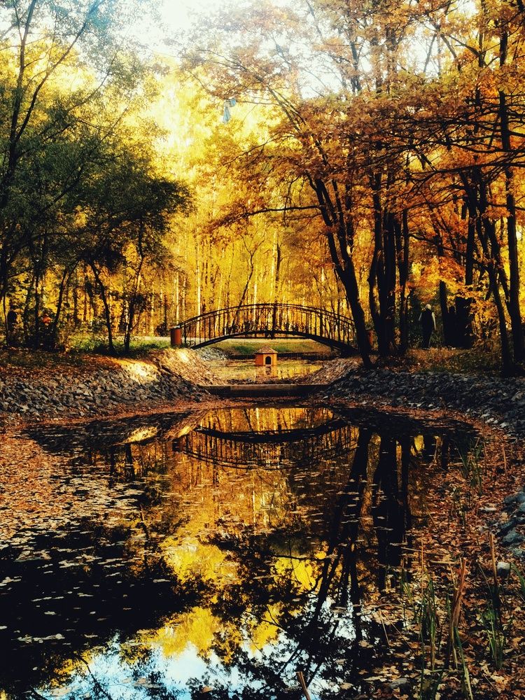 Золотая осень