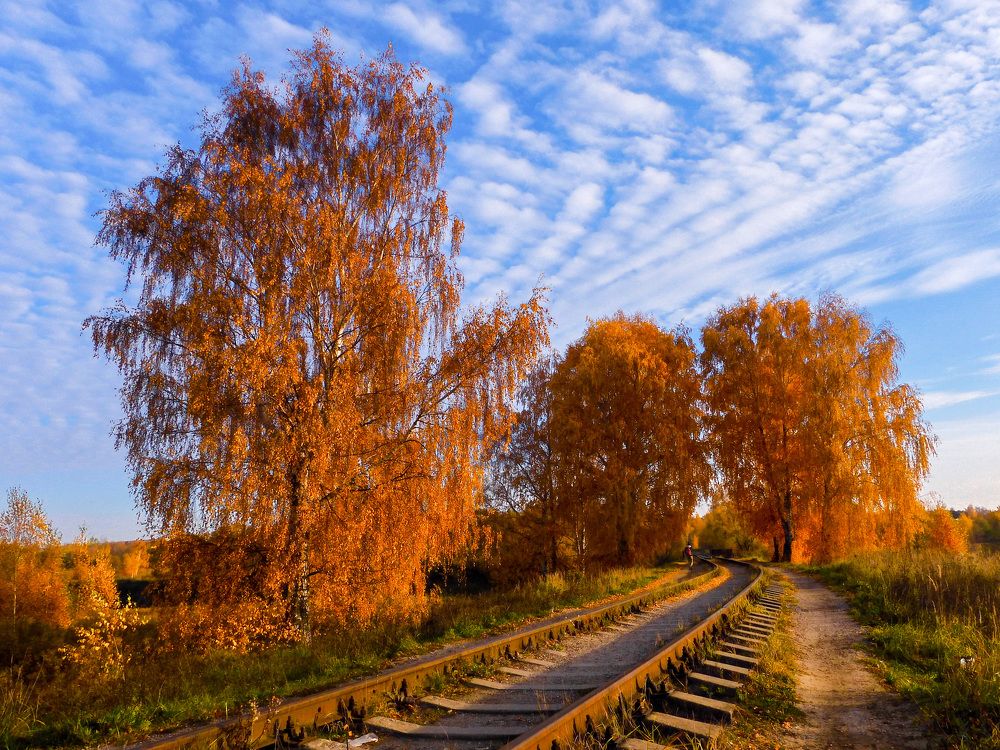 Photograph by Игорь Смирнов