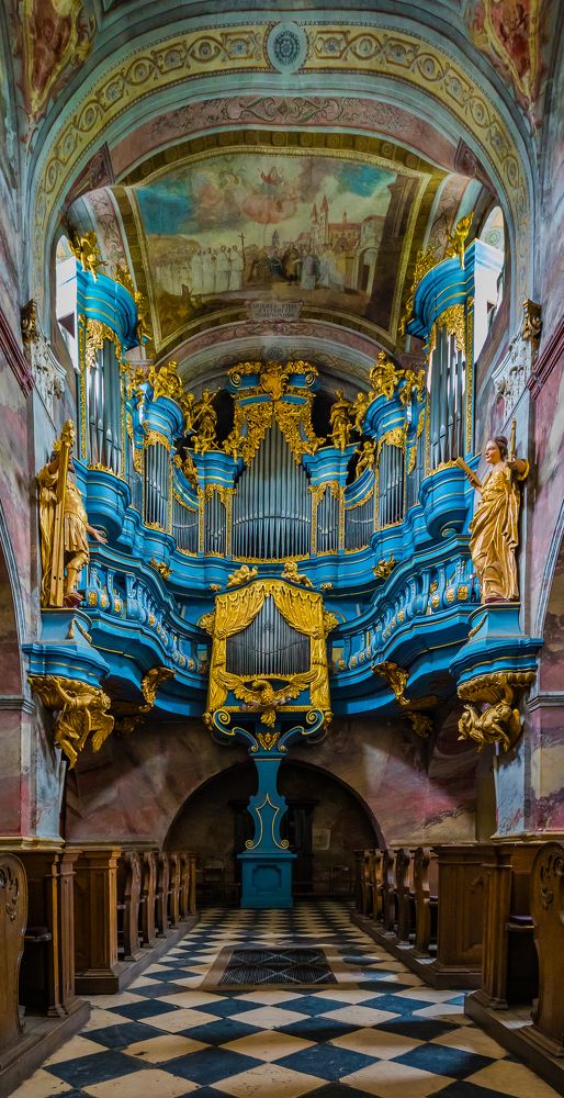 Photograph by Prybinski Miroslaw