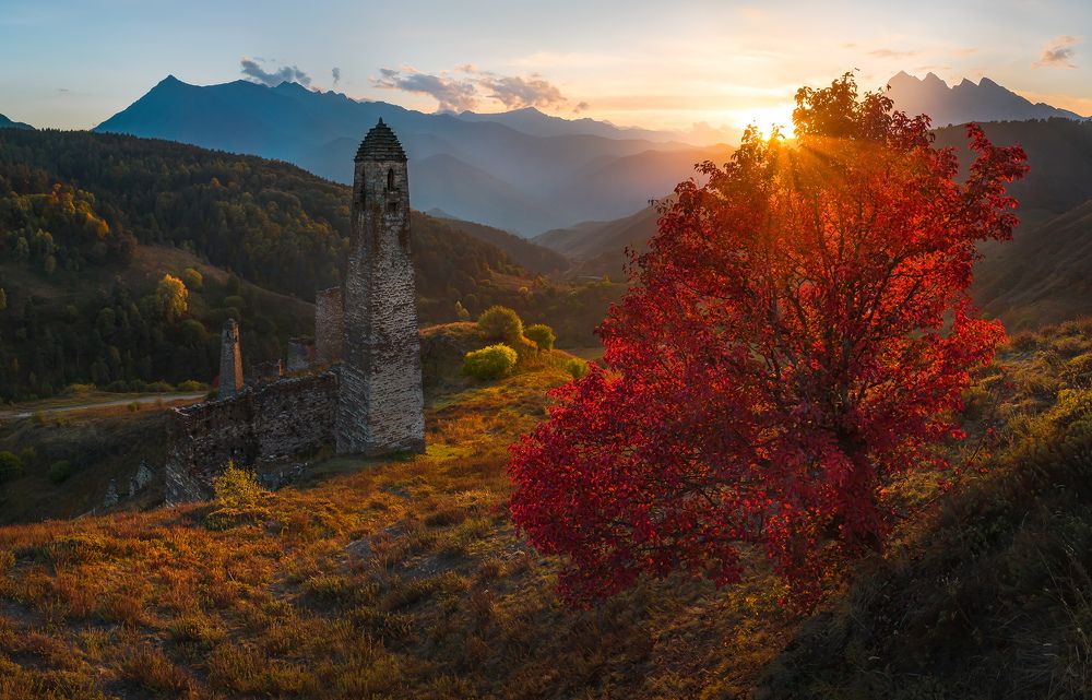 Photograph by Лашков Фёдор