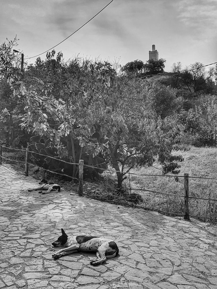 Photograph by Chraibi Hicham