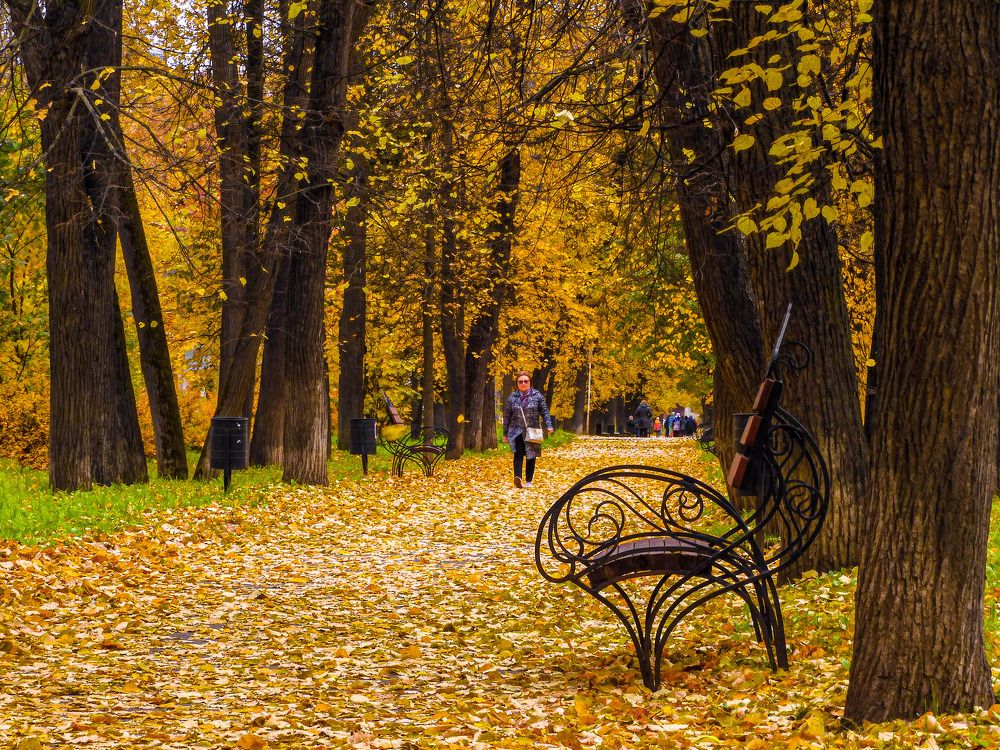 Photograph by Игорь Смирнов