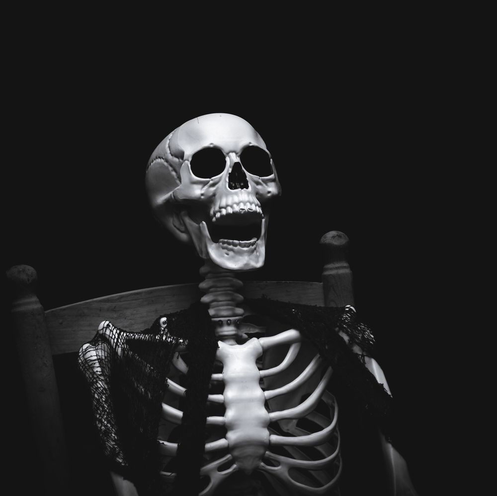 Photograph by Prybinski Miroslaw