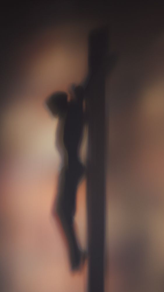 Photograph by Prybinski Miroslaw