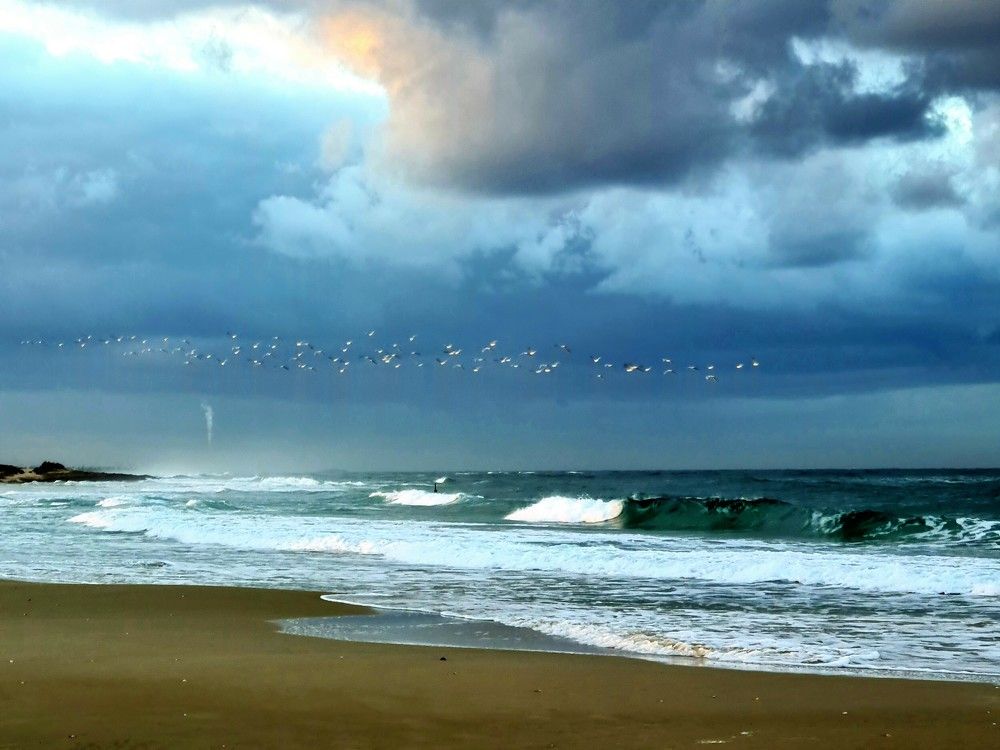 Photograph by יעל מנור