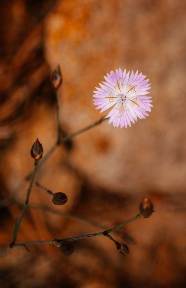Photograph by Александр Наракшин