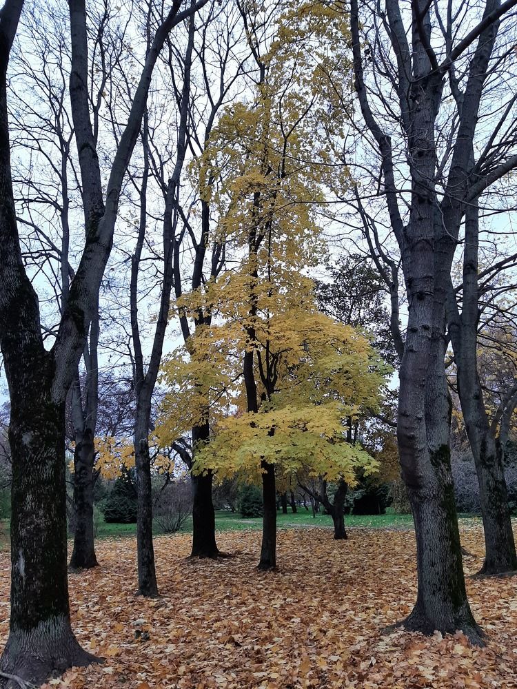 Photograph by Елена