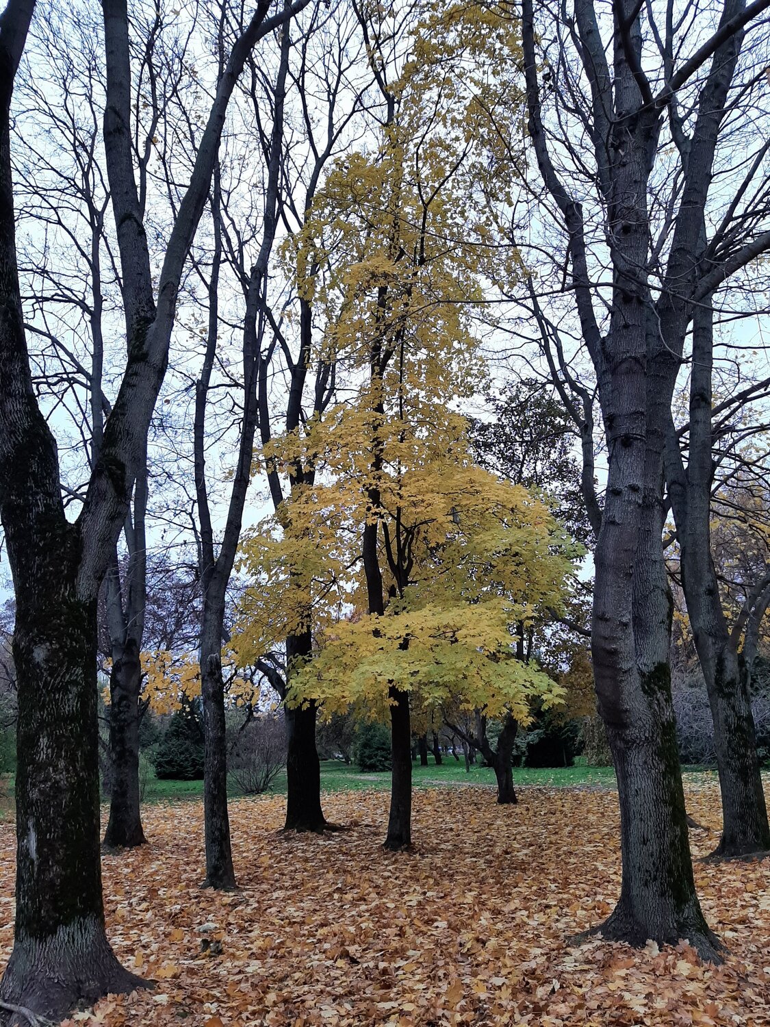 Photo #6618484