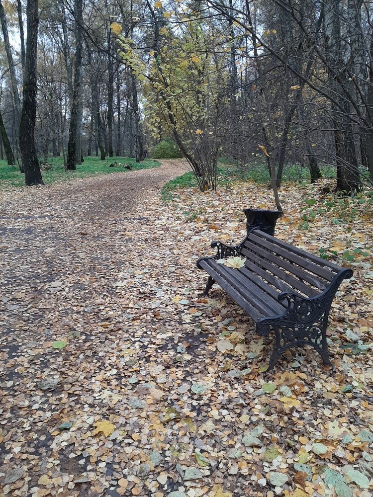 Photograph by Елена
