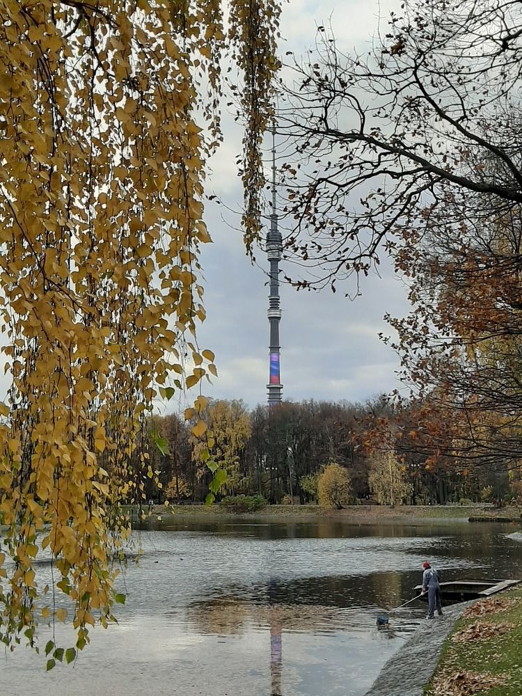 Photograph by Елена