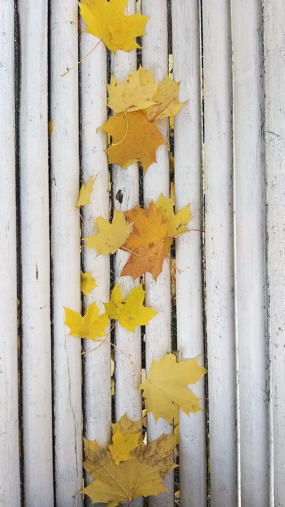 Photograph by Василий Шумкин