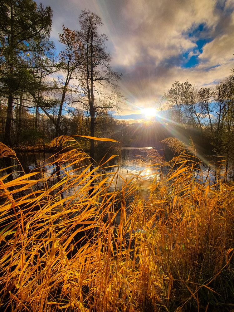Осенее солнце пробилось сквозь тучи.