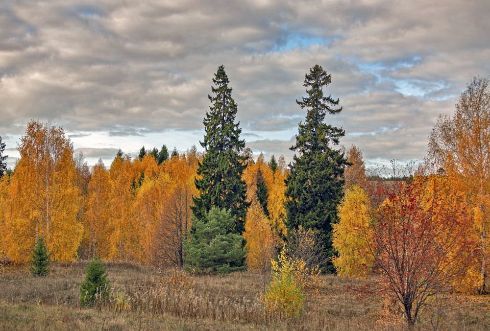 Золотой октябрь.