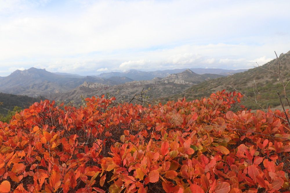 Фотография автора Татьяна Свистулина