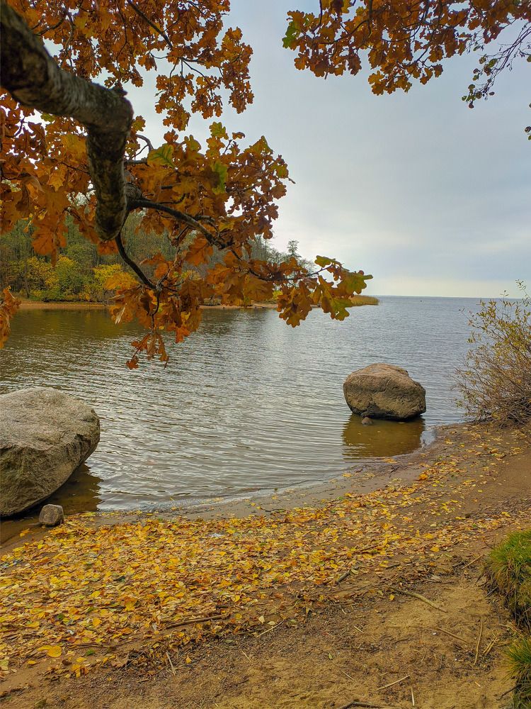 Photograph by Константин Леонюк