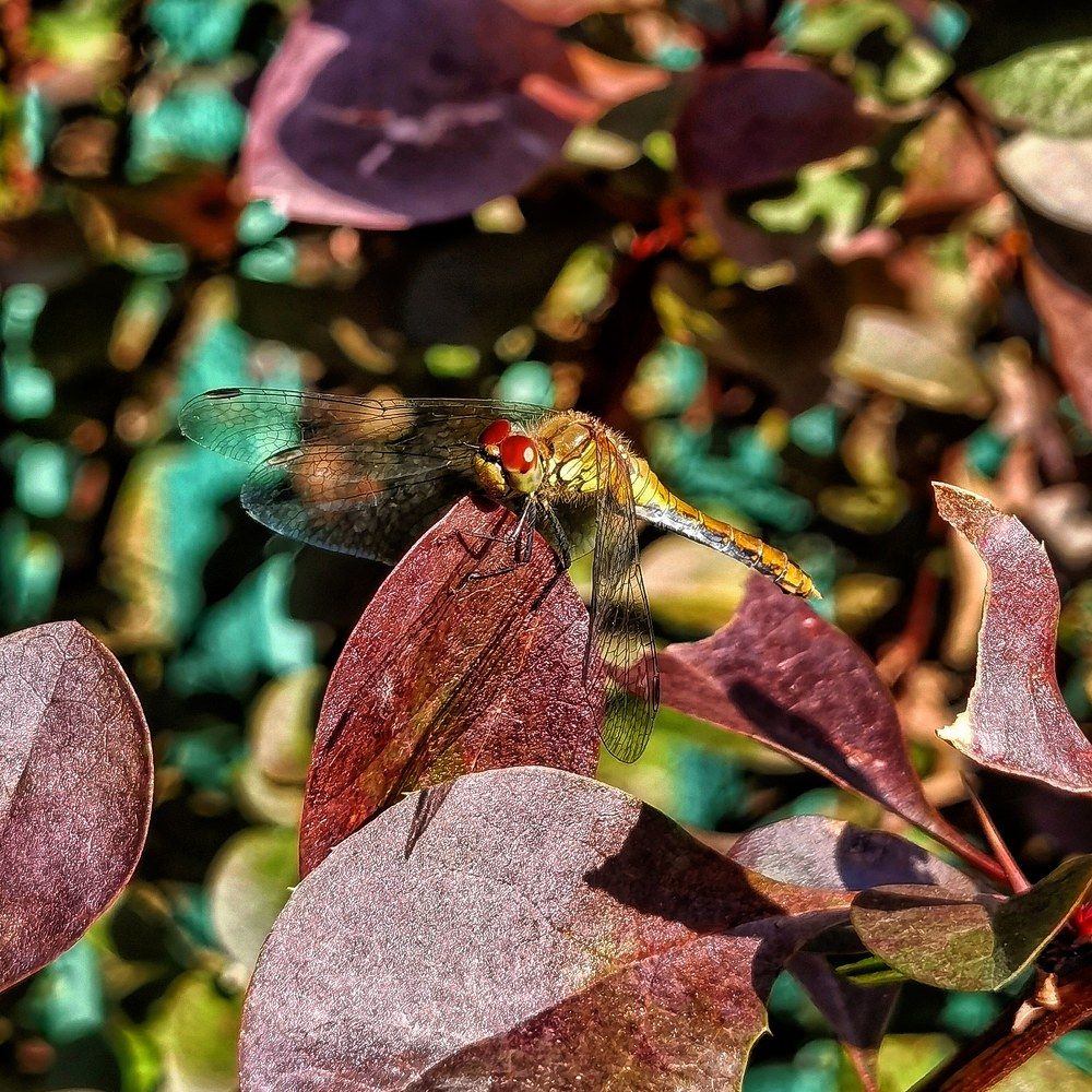 Photograph by Ольга