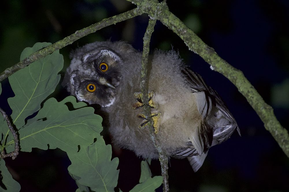 Photograph by Victor Krachkovsky